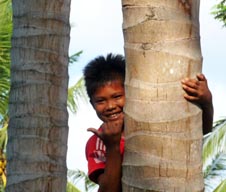 Kuta, Lombok Boy Getting Coconuts